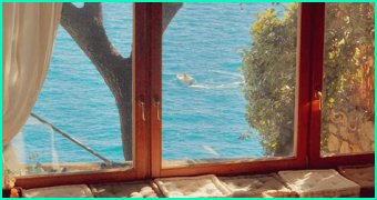 A Window Into Talent And Inspiration